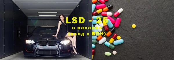 индика Лагань
