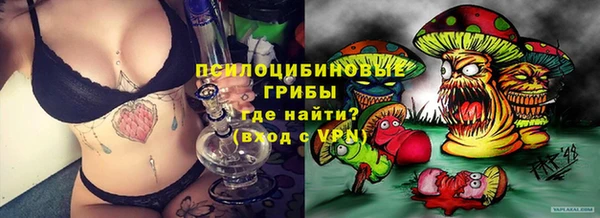 ГАЛЛЮЦИНОГЕННЫЕ ГРИБЫ Лабытнанги