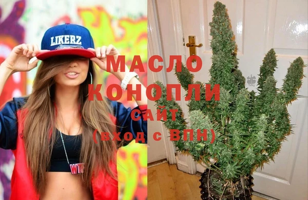 индика Лагань