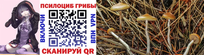 Галлюциногенные грибы ЛСД  купить  цена  Невель 